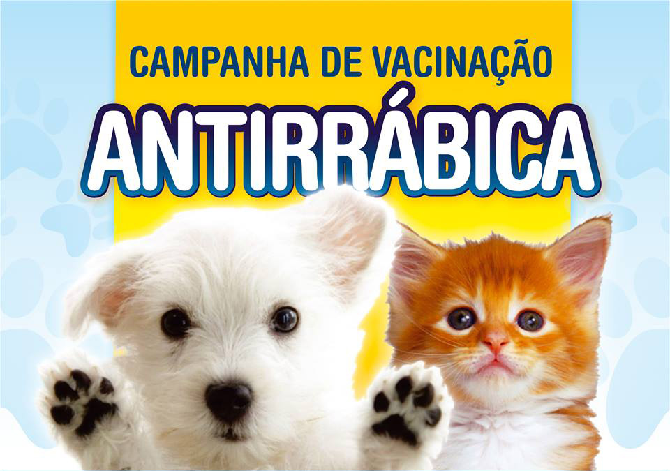 Prefeitura de São José de Princesa inicia campanha de vacinação antirrábica 