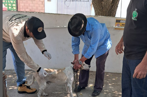 No último sábado, São José de Princesa realizou o Dia D de vacinação antirrábica em cães e gatos.
